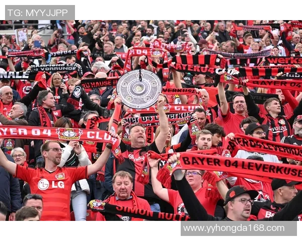 欧冠精彩对决那不勒斯逆转拜仁全场沸腾十大进球回顾